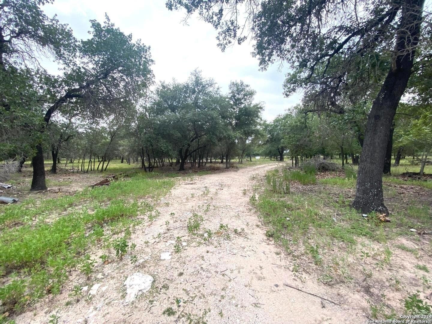 10 acres in Atascosa County gallery image 4