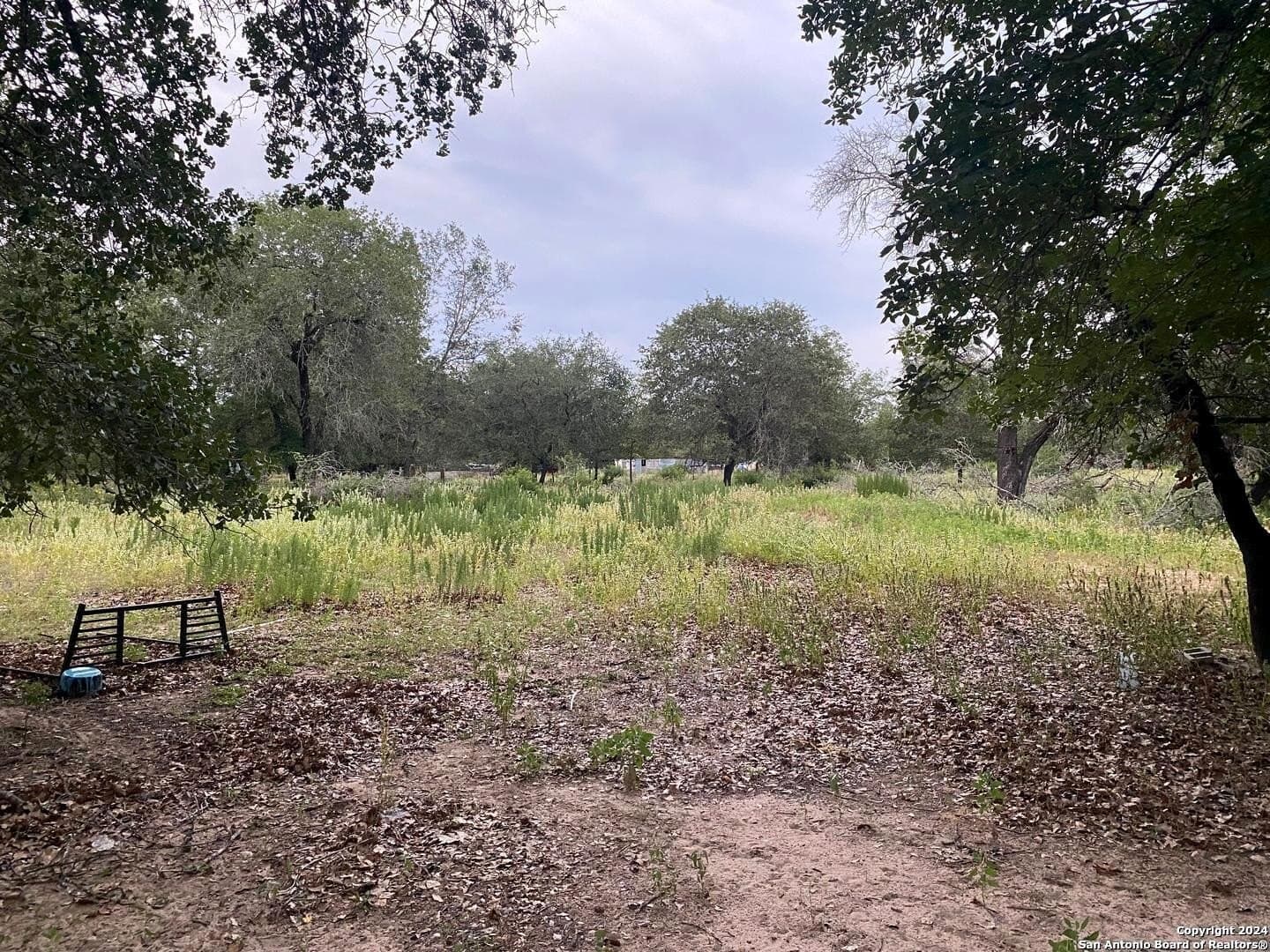 10 acres in Atascosa County - photo 19