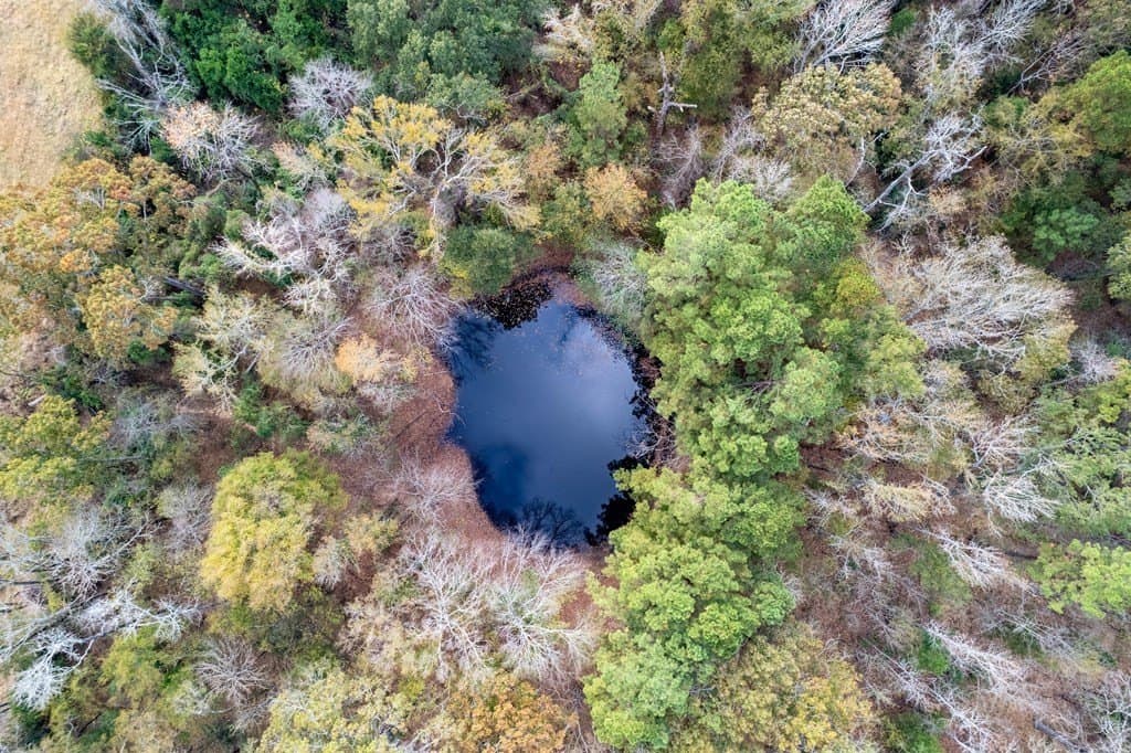 18.21 acres in ANDERSON County gallery image 3