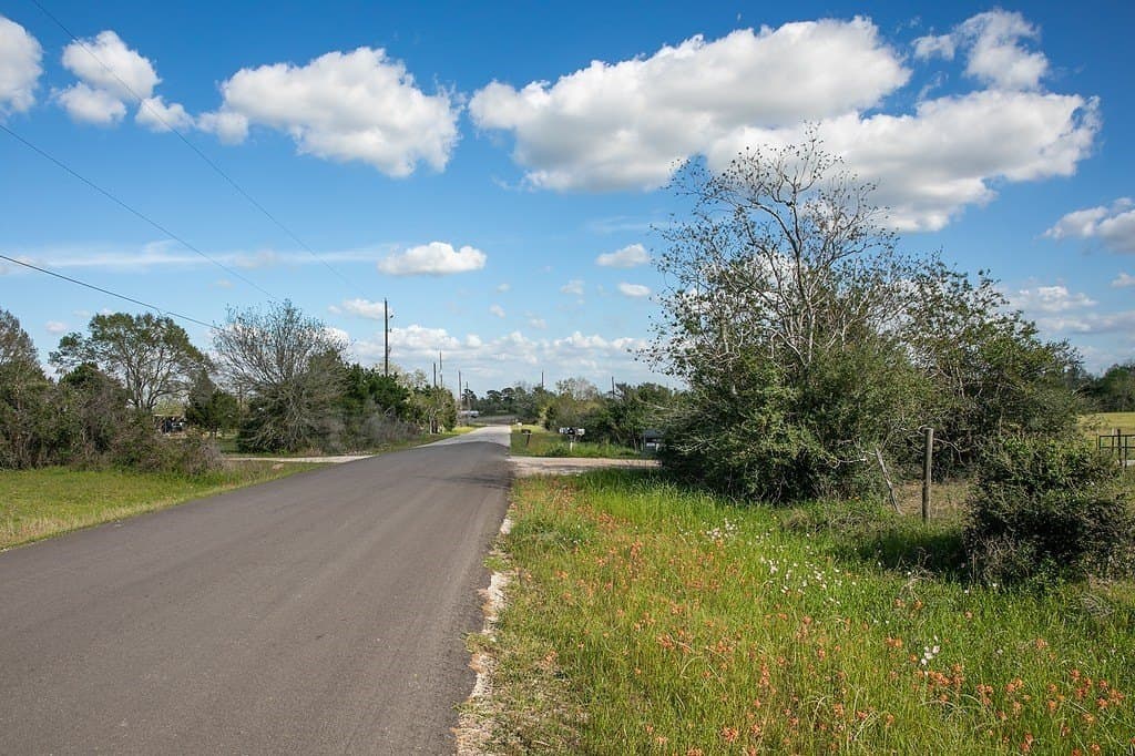 56.21 acres in Austin County - photo 14