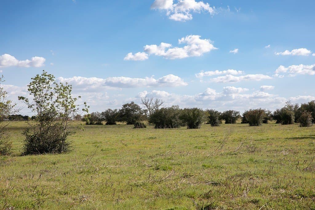 56.21 acres in Austin County - photo 6