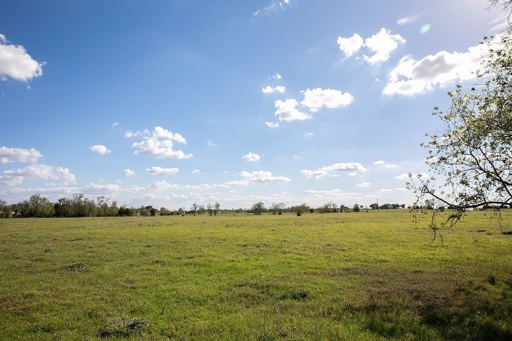 56.21 acres in Austin County - photo 12