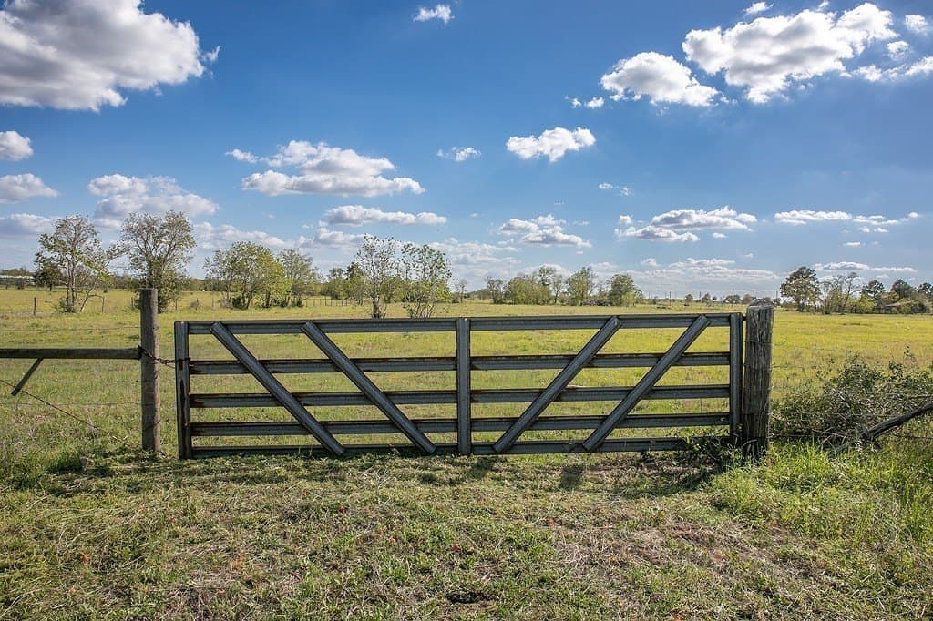 56.21 acres in Austin County - photo 13