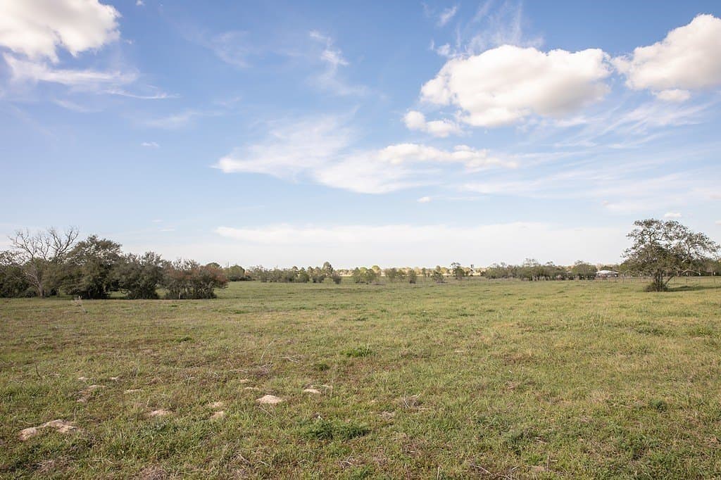 56.21 acres in Austin County - photo 9