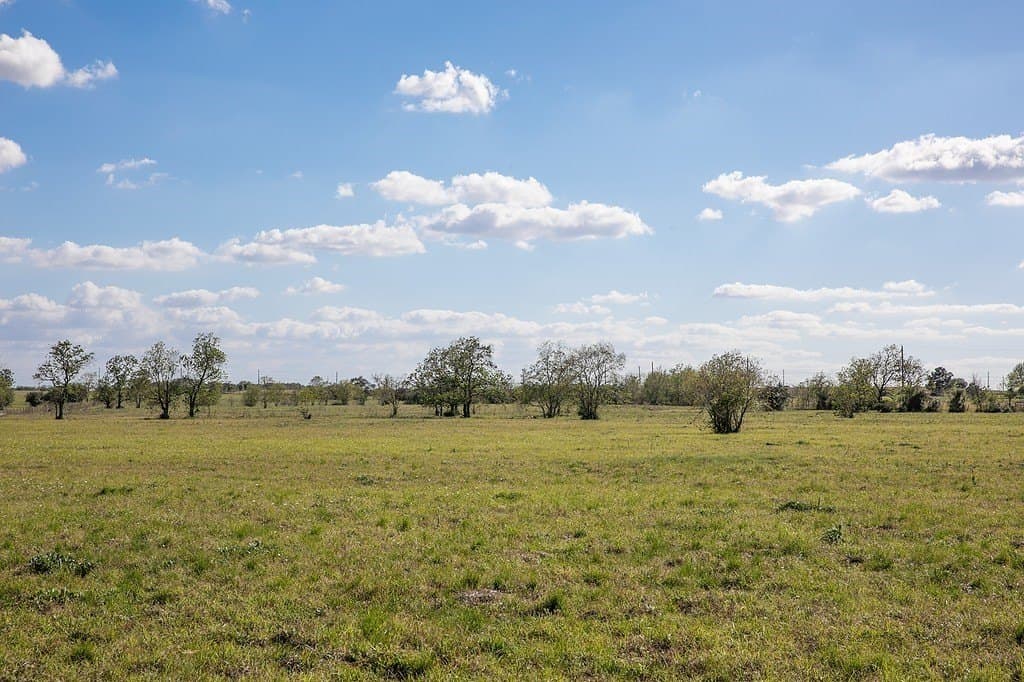 56.21 acres in Austin County - photo 8