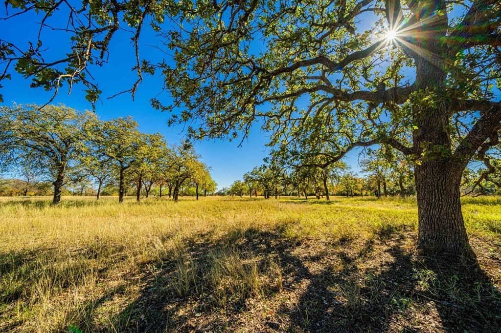 31.21 acres in Gillespie County gallery image 3