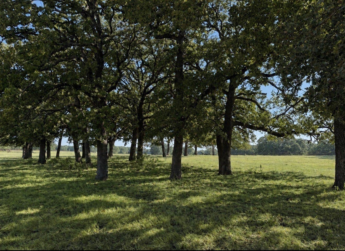 18.83 acres in Cooke County - photo 3
