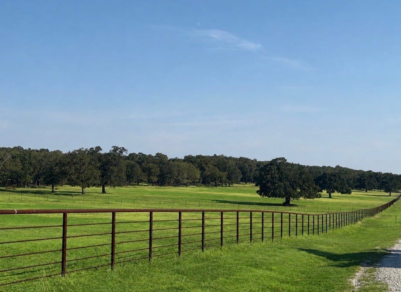 18.83 acres in Cooke County