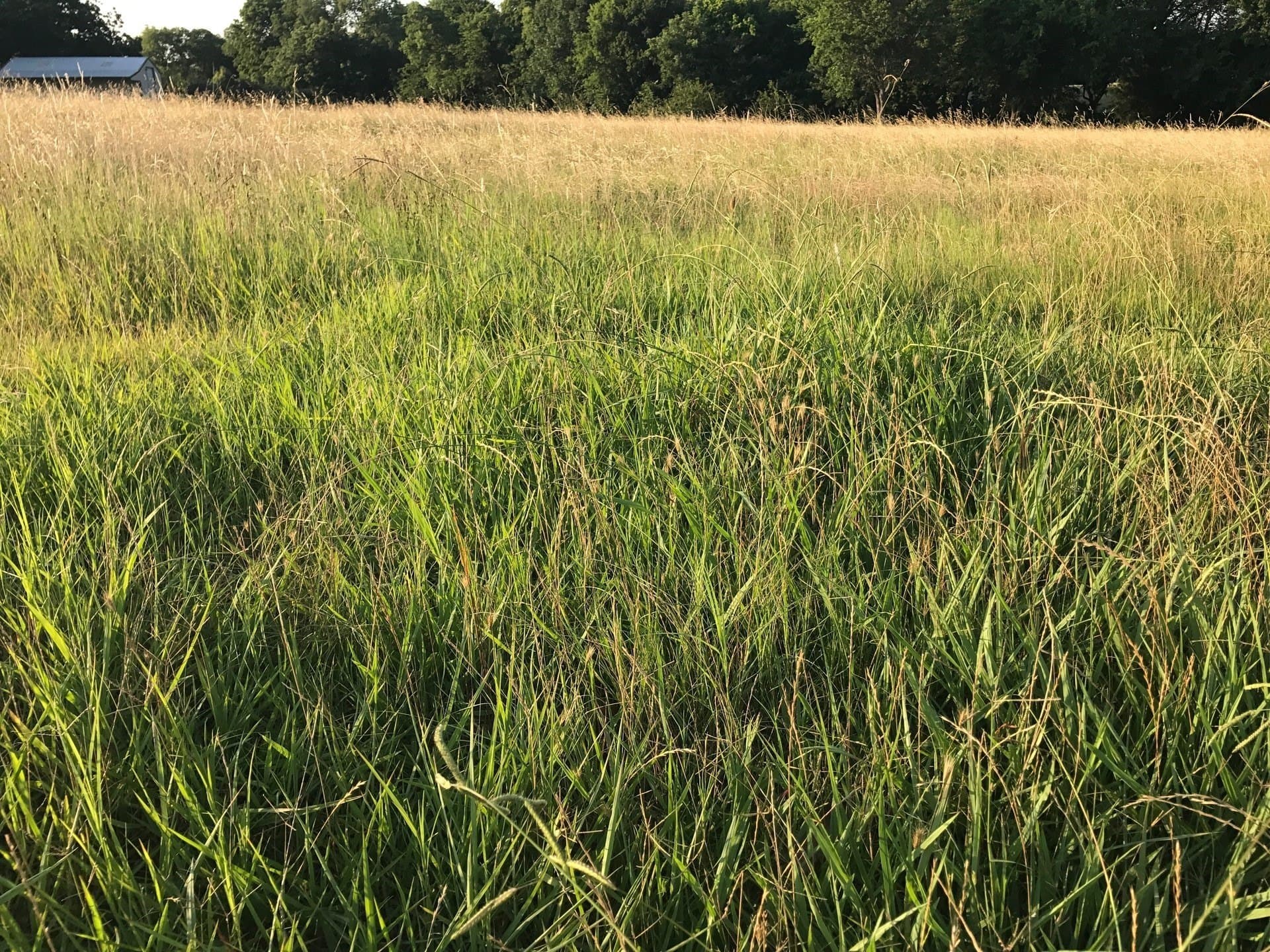1.1 acres in Collin County - photo 7