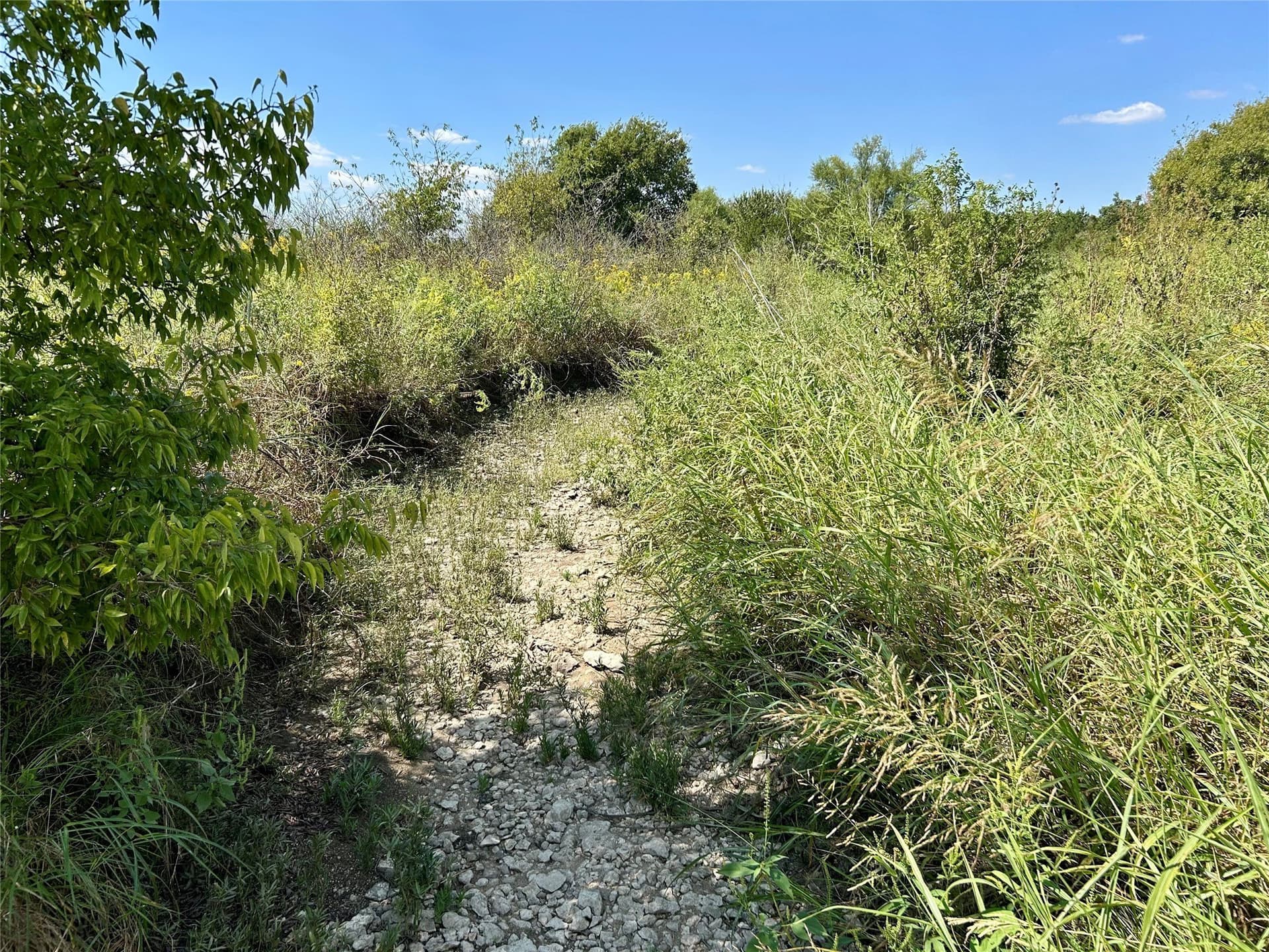 10.32 acres in Hill County - photo 33