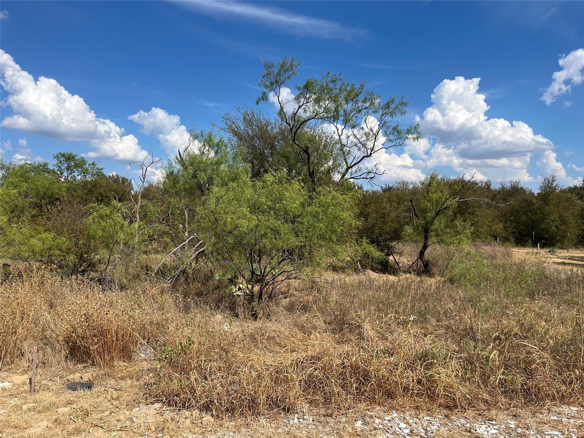 0.36 acres in Wise County - photo 2