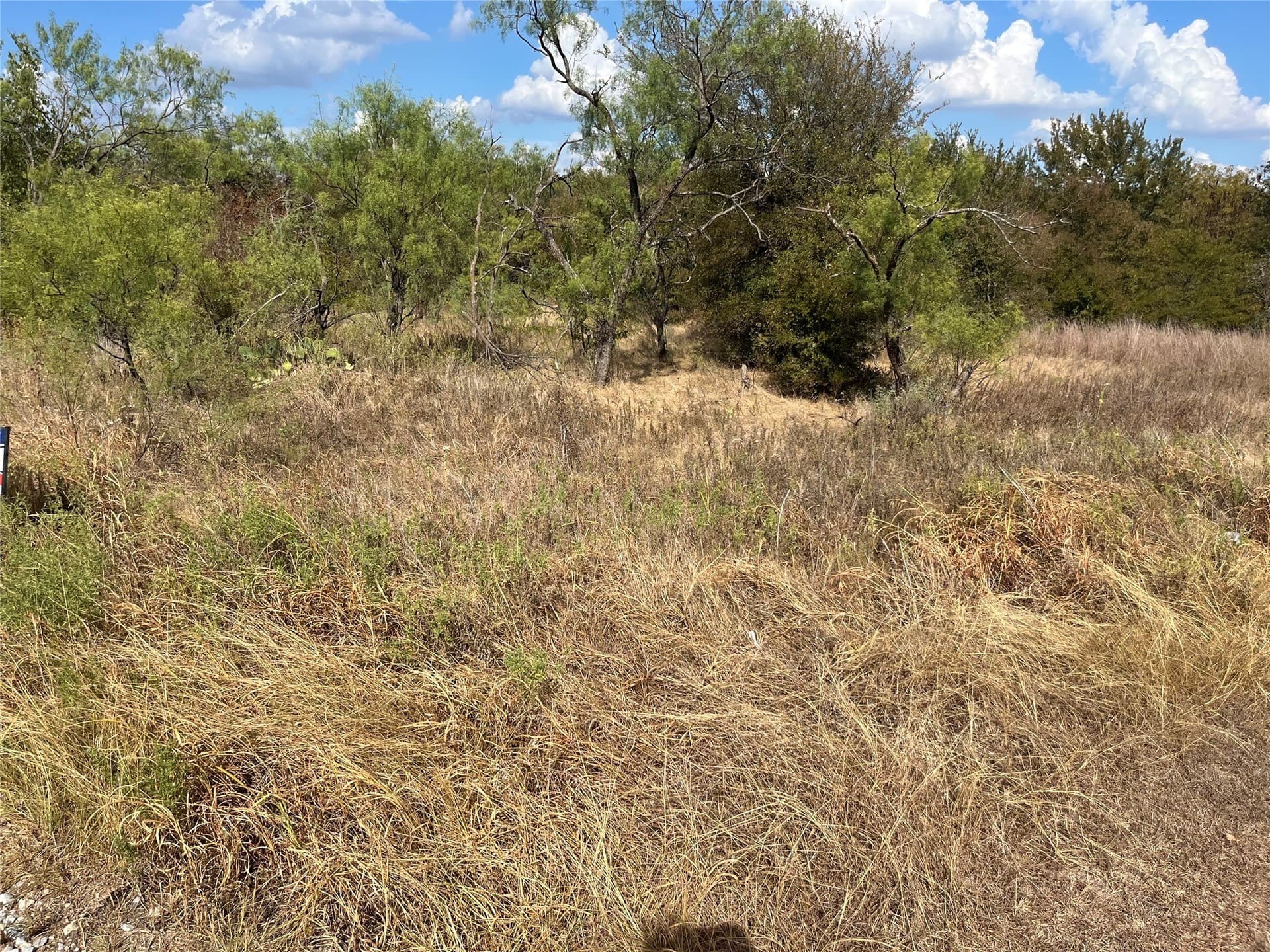 0.36 acres in Wise County - photo 8