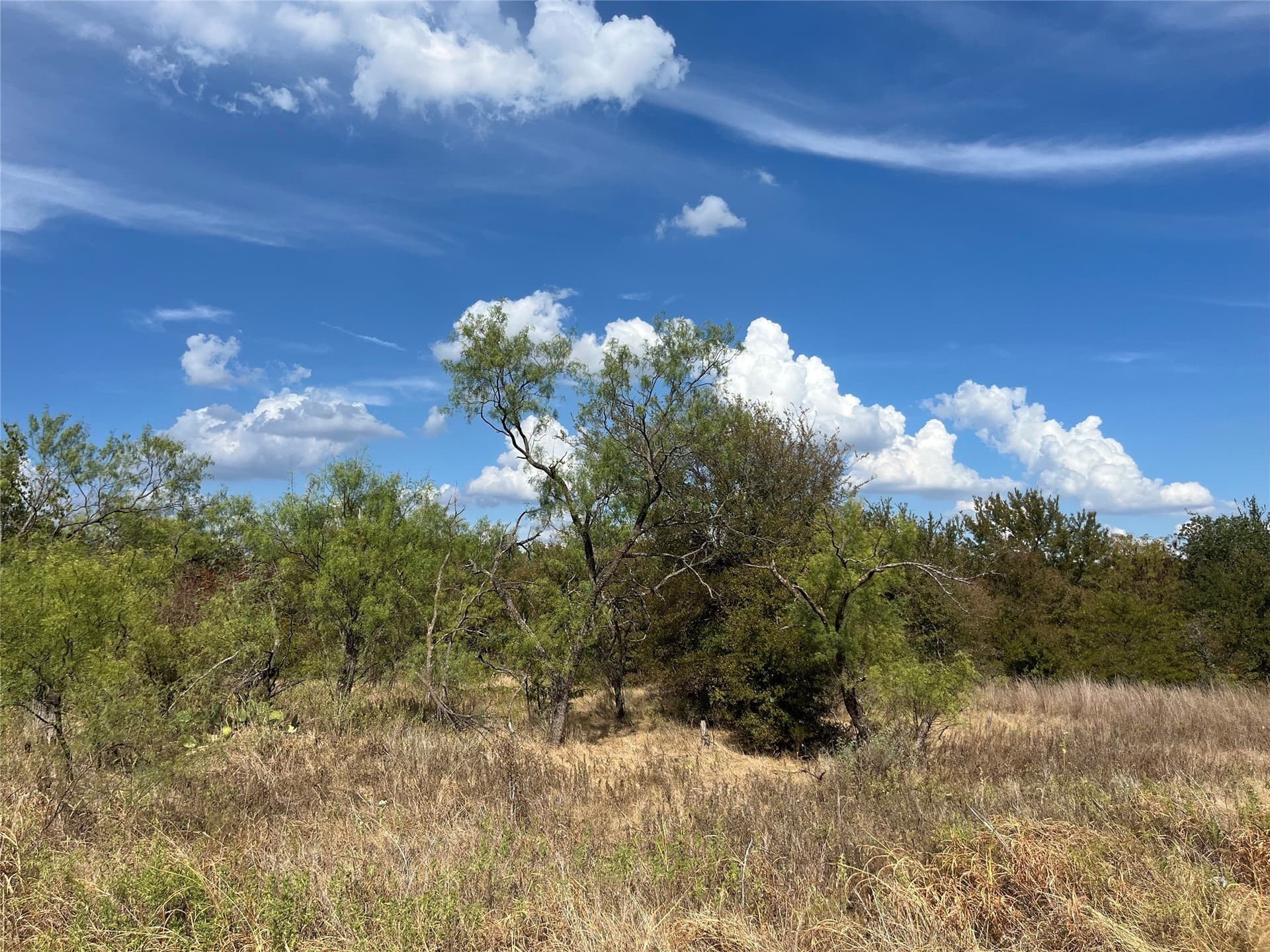 0.36 acres in Wise County - photo 7