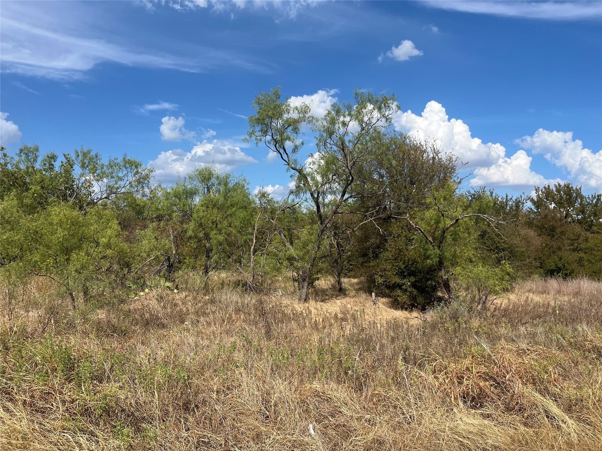 0.36 acres in Wise County - photo 5