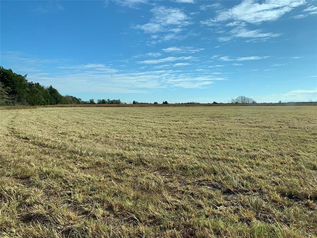 15 acres in Navarro County gallery image 4