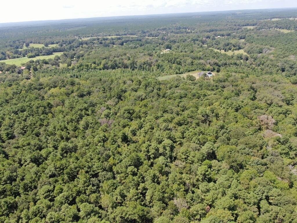 12.6 acres in Texas County - photo 6