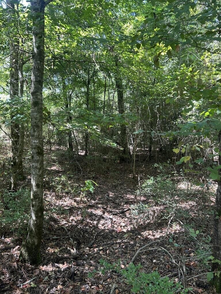12.6 acres in Texas County - photo 12