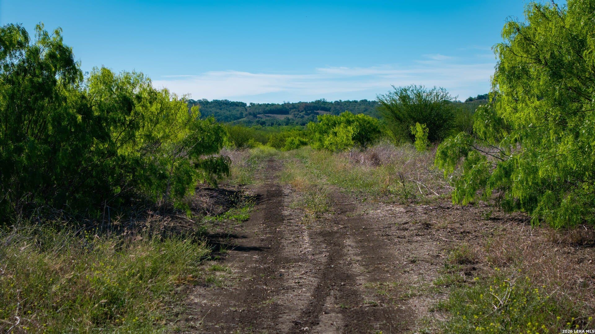 85.59 acres in Guadalupe County - photo 23