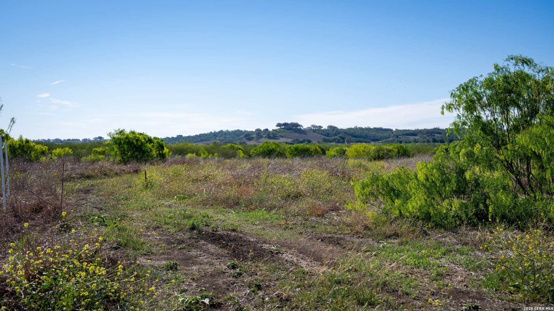 85.59 acres in Guadalupe County - photo 14