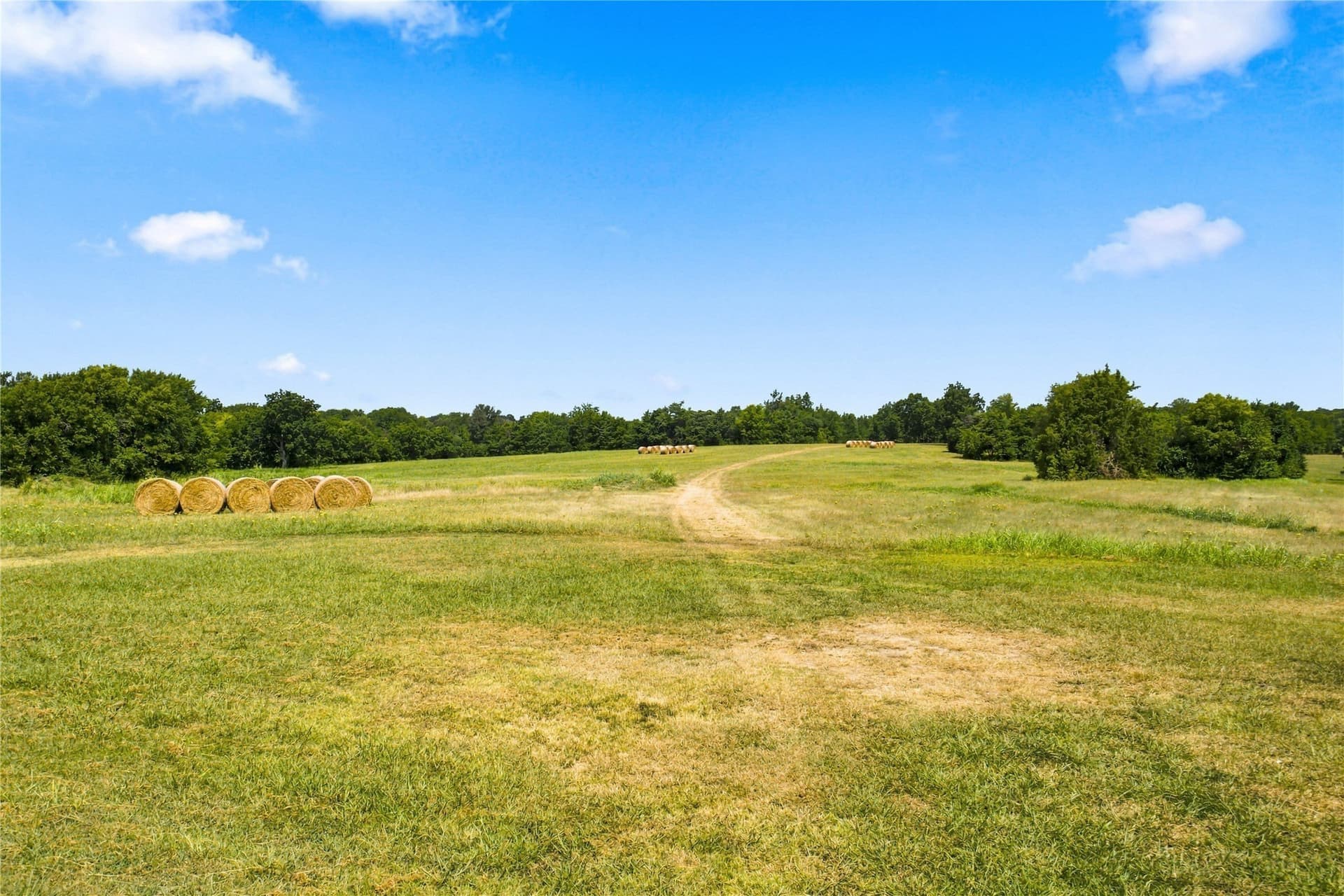 46 acres in Delta County - photo 37