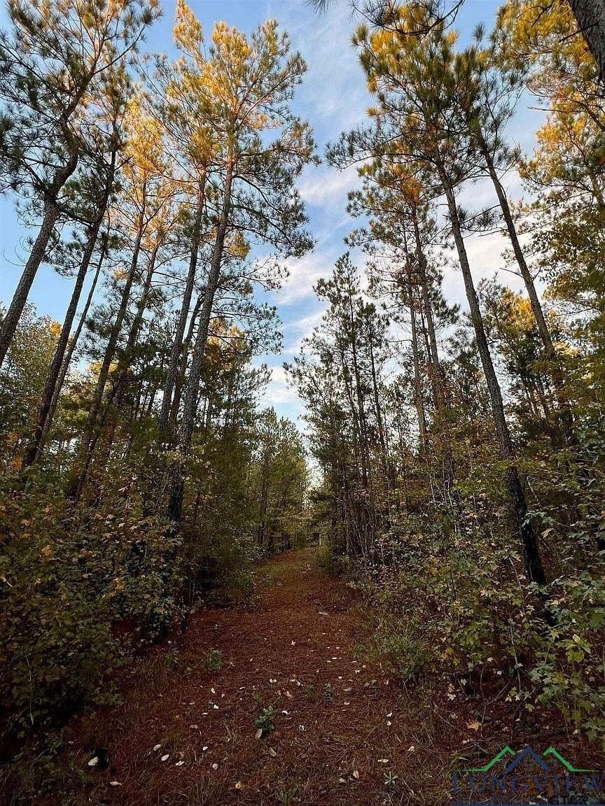 200.21 acres in Cass County gallery image 4