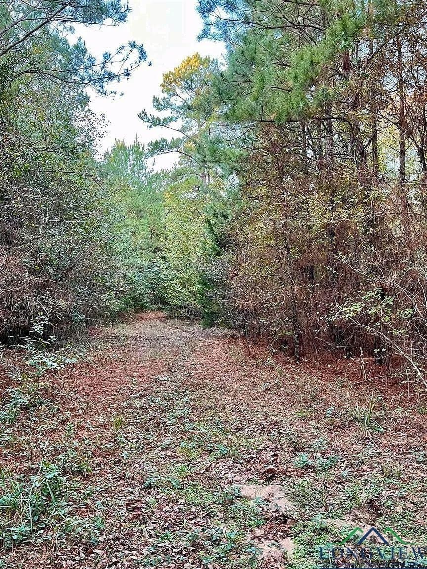 200.21 acres in Cass County featured view