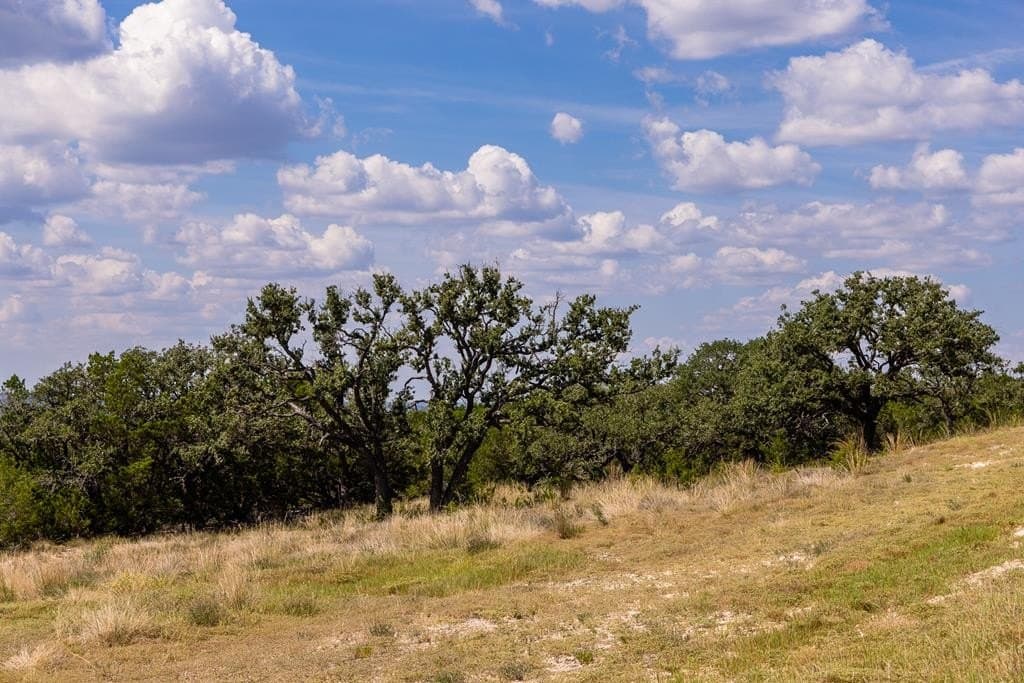12 acres in Kerr County - photo 17