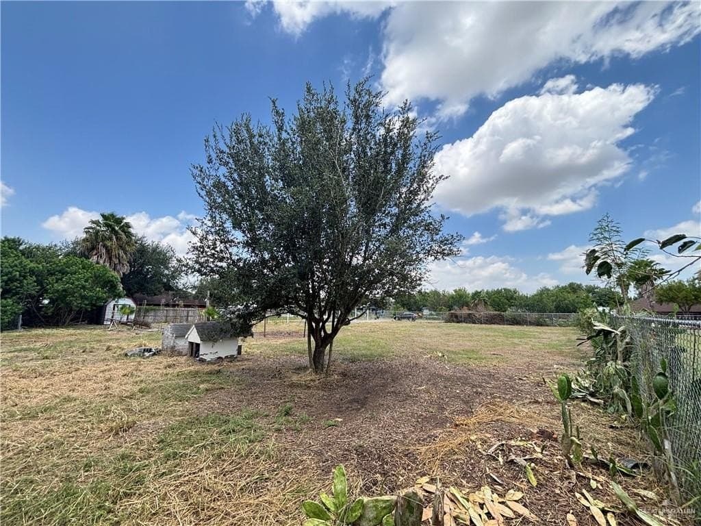 0.55 acres in Hidalgo County gallery image 3