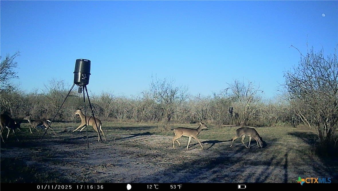 25 acres in Goliad County - photo 8