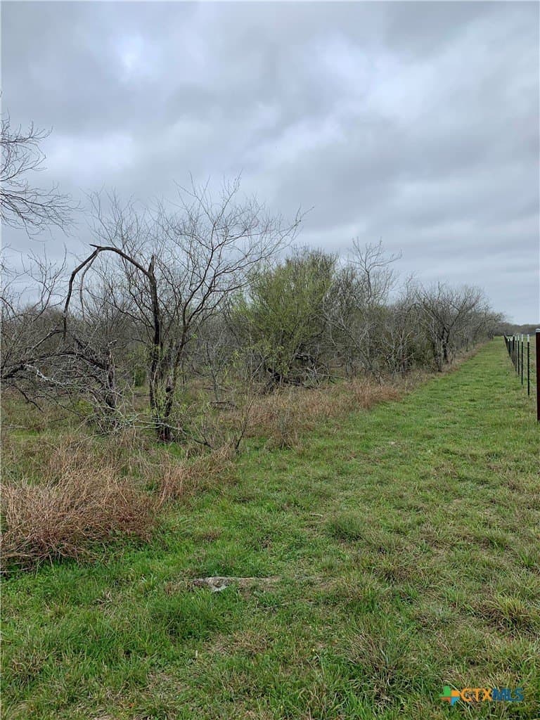 25 acres in Goliad County - photo 11