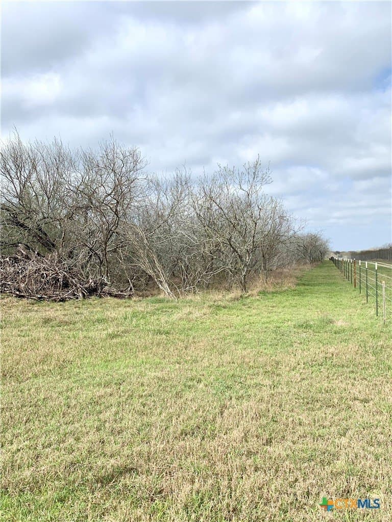25 acres in Goliad County - photo 14
