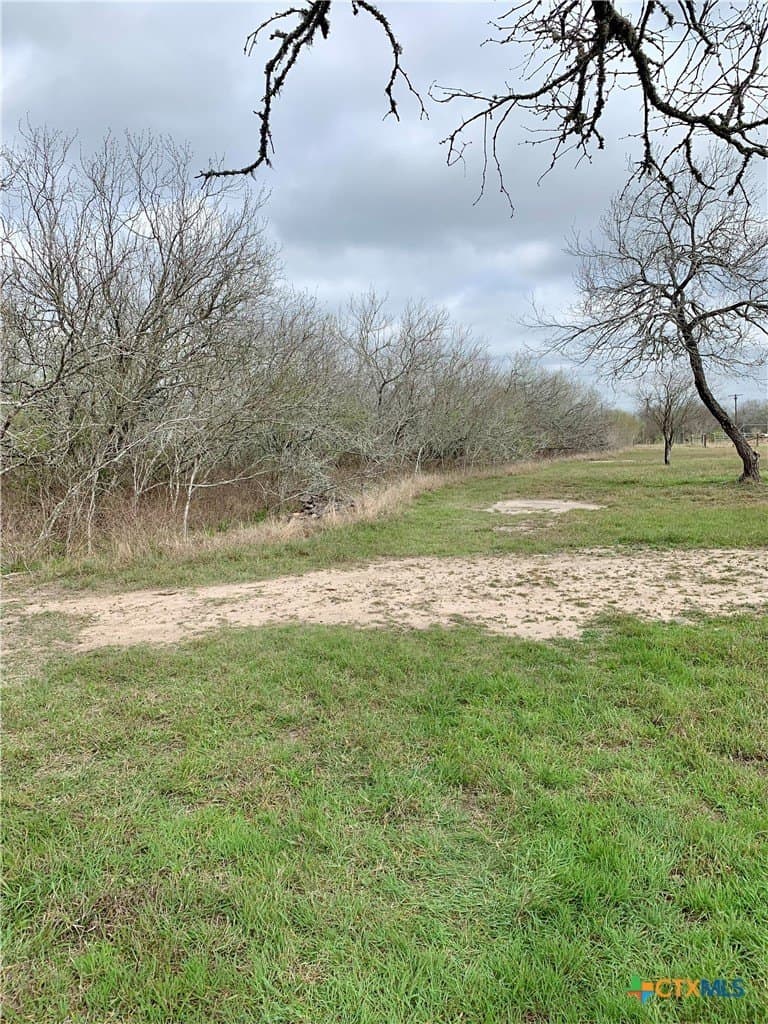 25 acres in Goliad County - photo 12