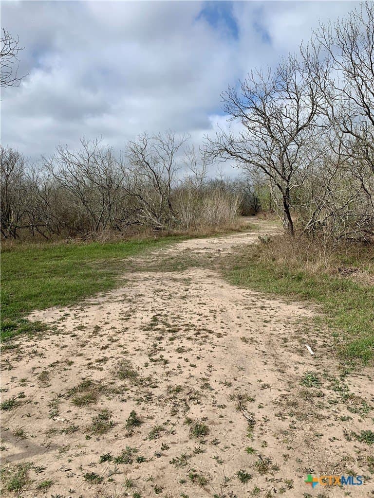 25 acres in Goliad County - photo 13