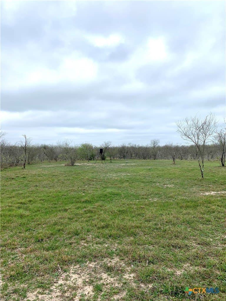 25 acres in Goliad County - photo 9