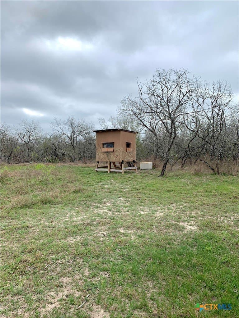 25 acres in Goliad County gallery image 2