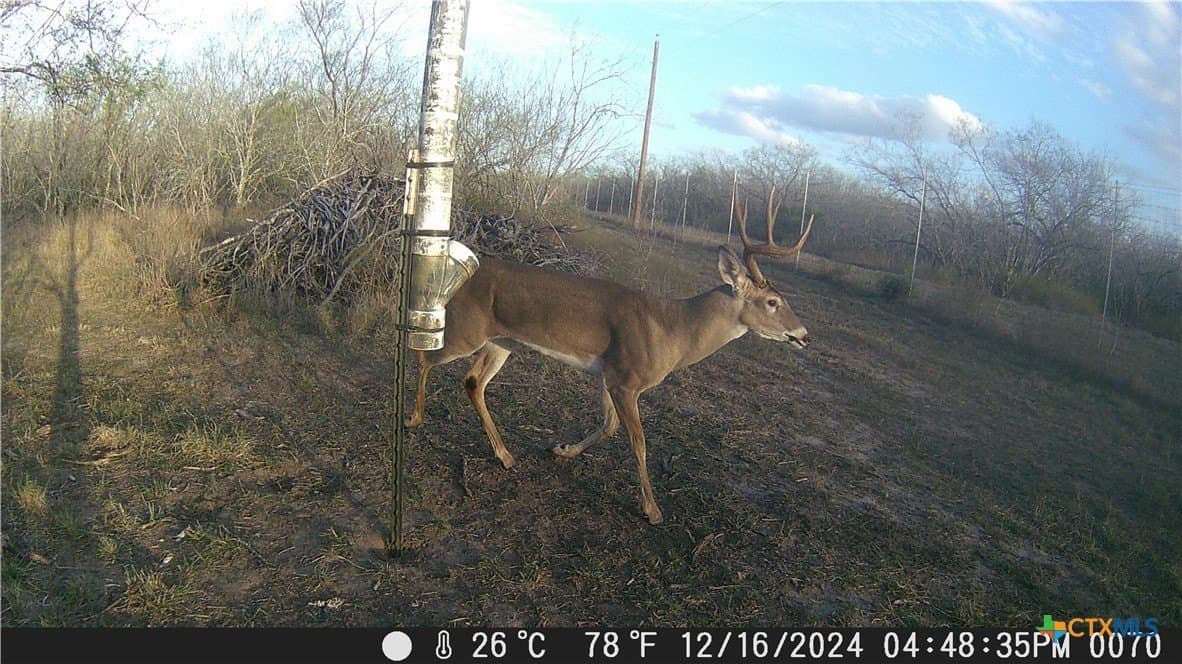 25 acres in Goliad County featured view
