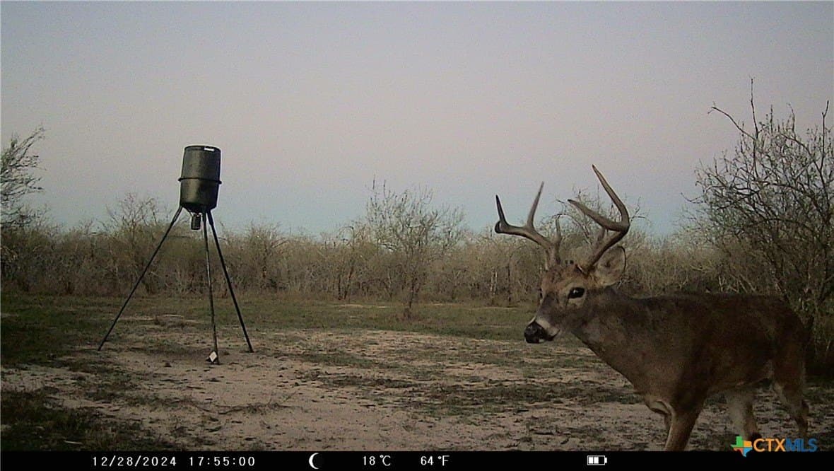 25 acres in Goliad County gallery image 3