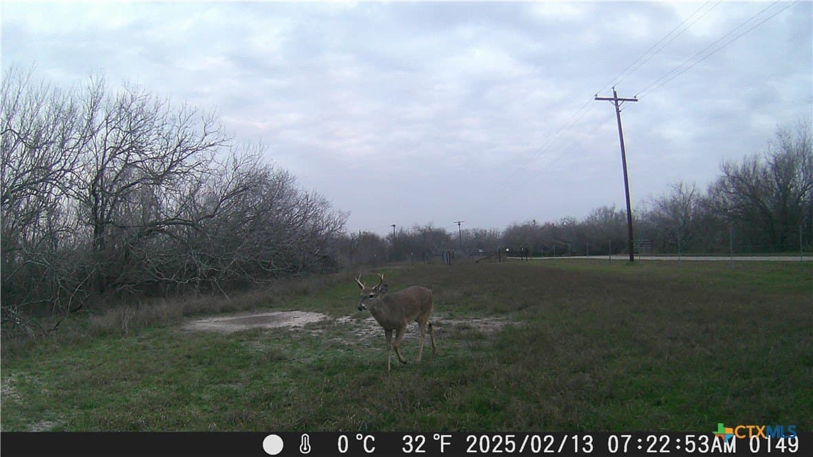25 acres in Goliad County - photo 6