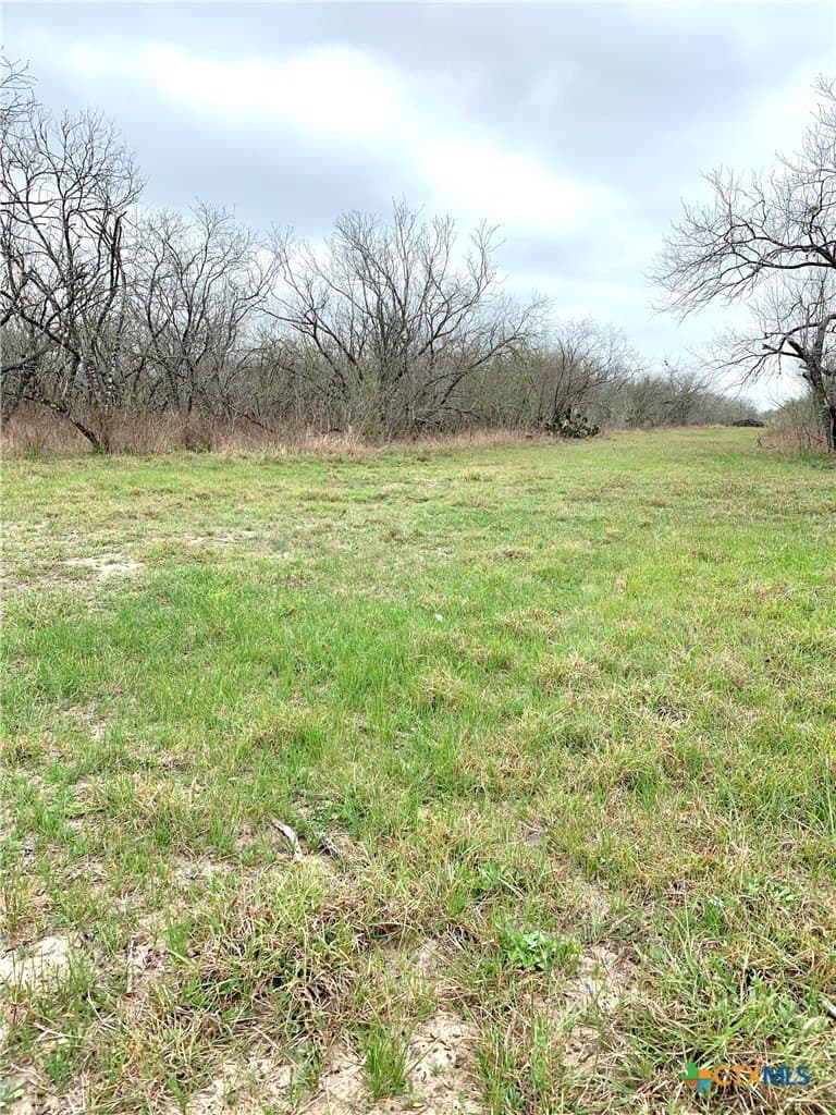 25 acres in Goliad County - photo 10
