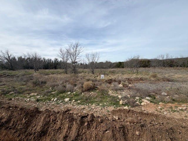 1.32 acres in Palo Pinto County - photo 4