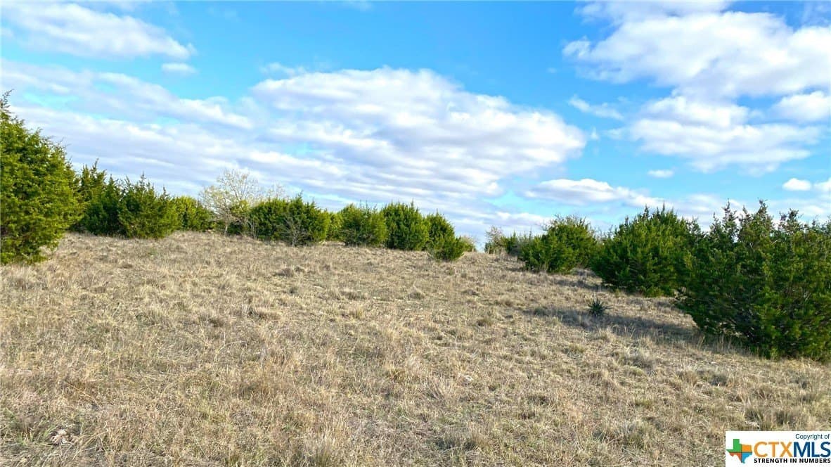 123.19 acres in Coryell County gallery image 4