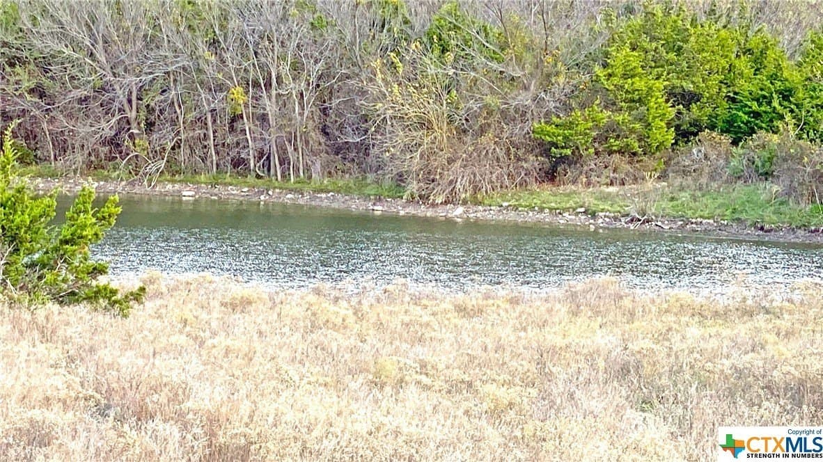 123.19 acres in Coryell County gallery image 2