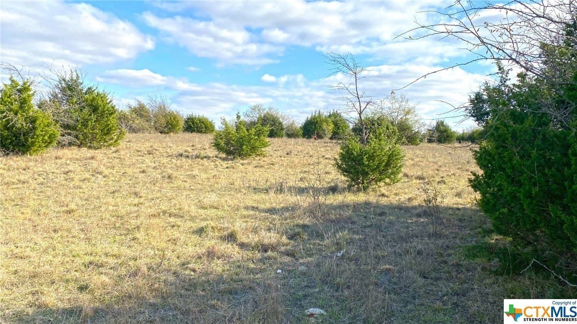 123.19 acres in Coryell County featured view