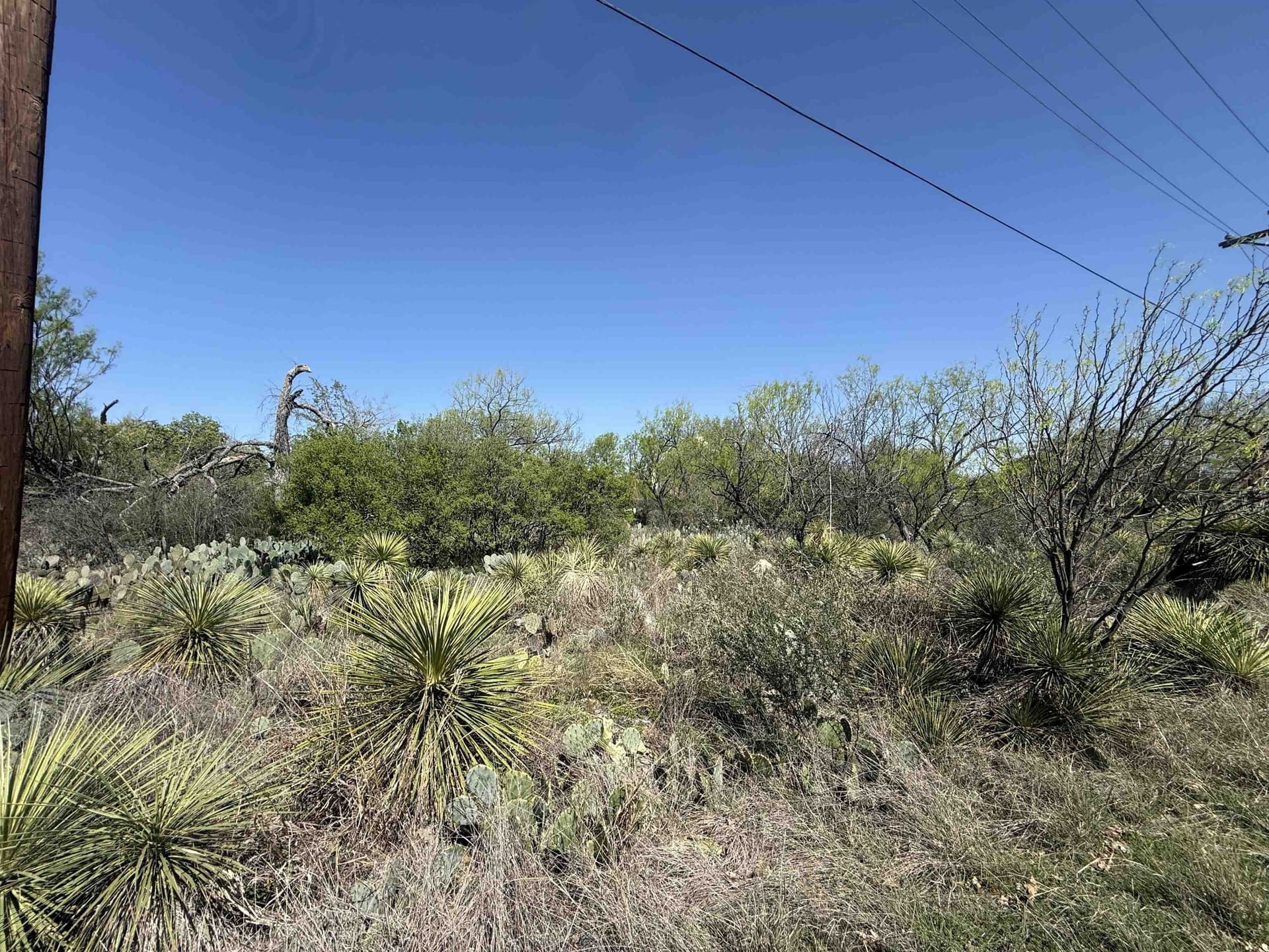 0.23 acres in Burnet County gallery image 2