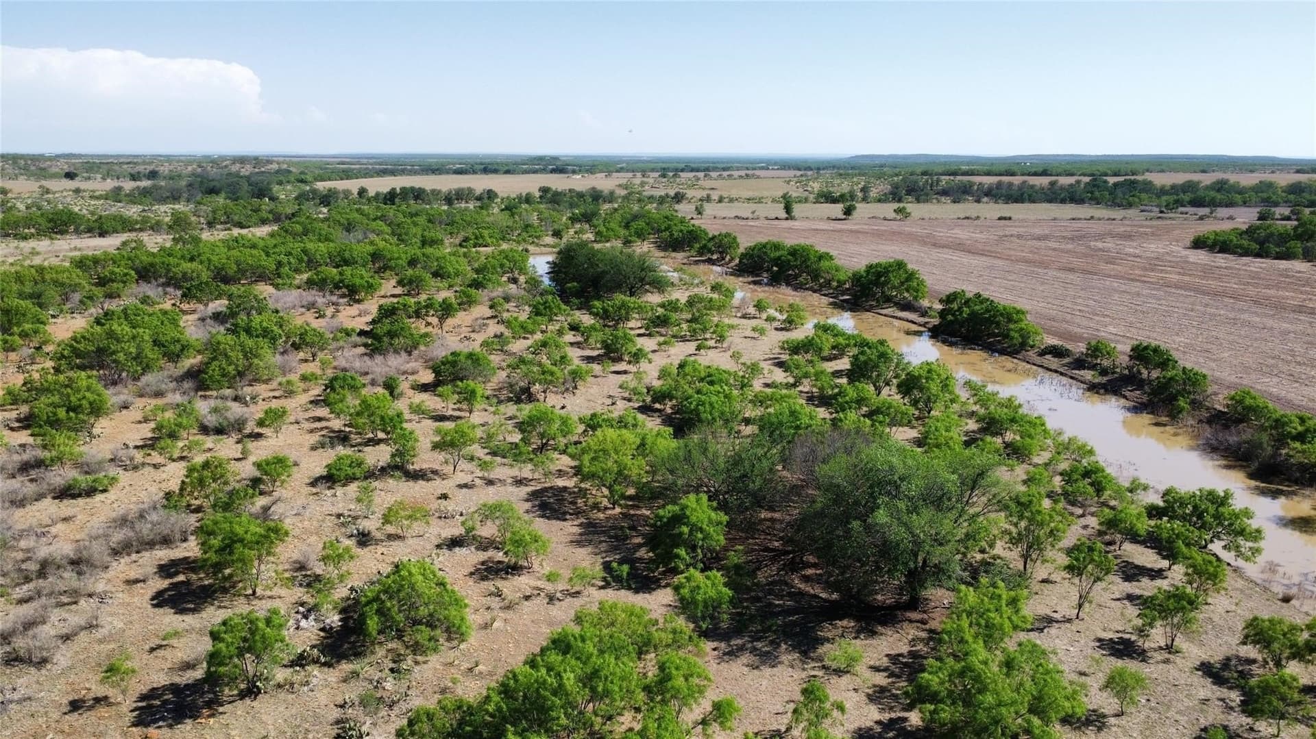 429 acres in Coleman County - photo 6