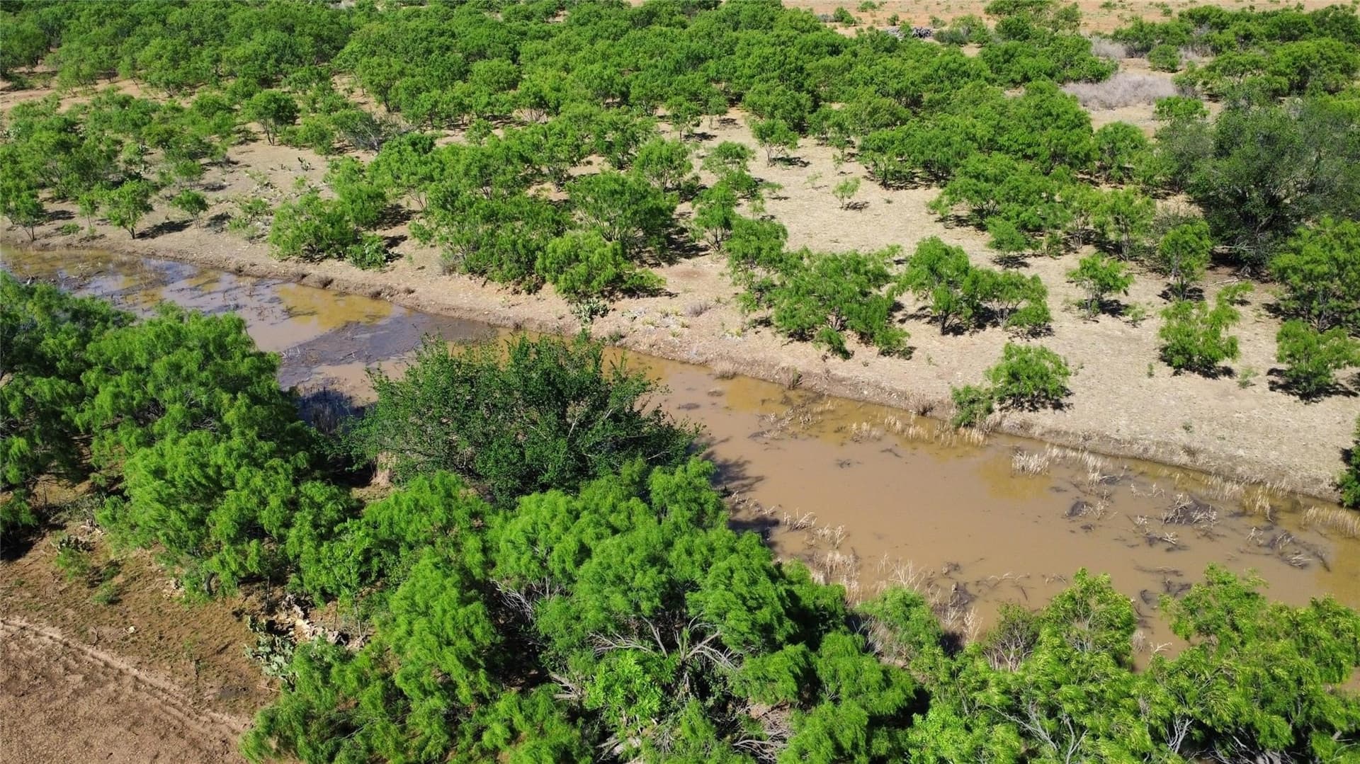 429 acres in Coleman County - photo 21