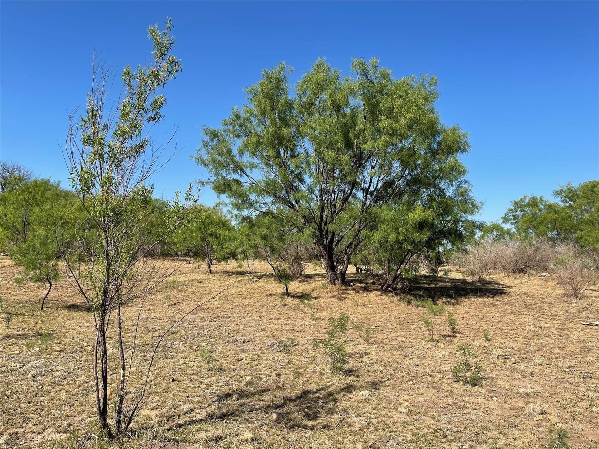 429 acres in Coleman County - photo 11