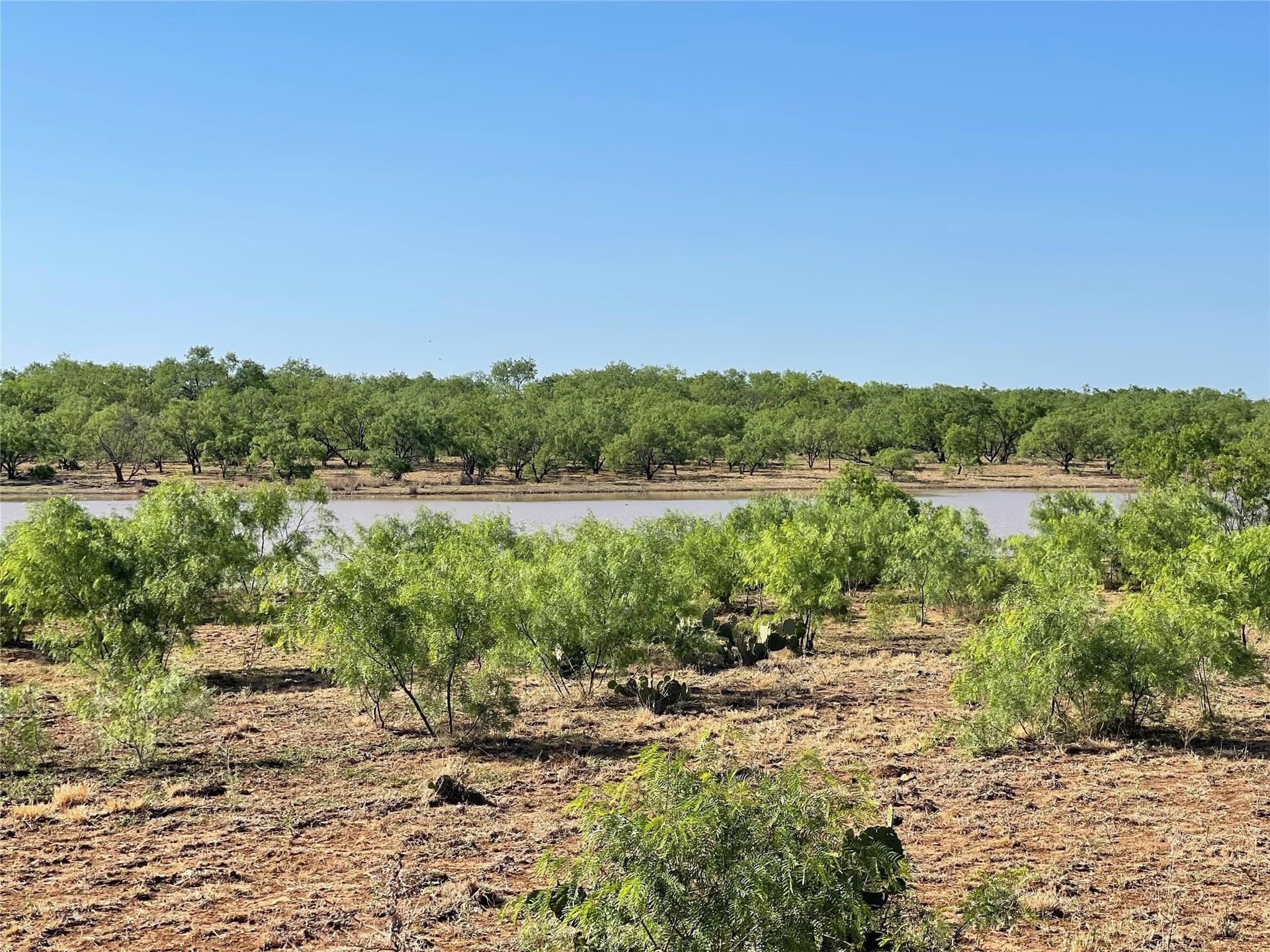 429 acres in Coleman County - photo 12