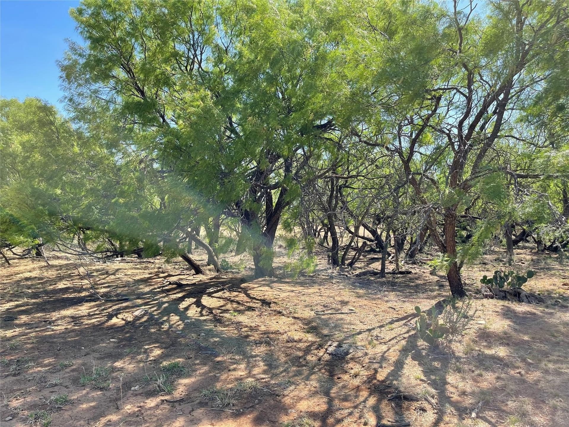 429 acres in Coleman County - photo 32