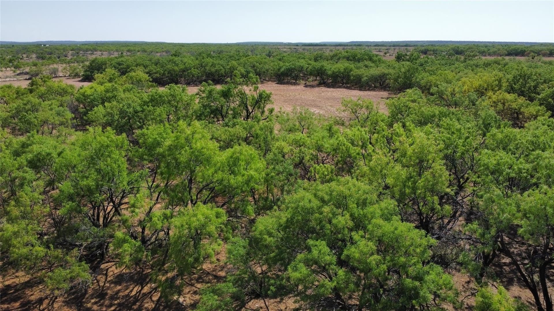 429 acres in Coleman County - photo 34